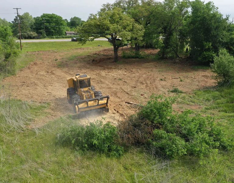 Forestry Mulching: Efficient Land Clearing and Vegetation Management
