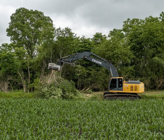 Heavy Brush Removal & Clearing