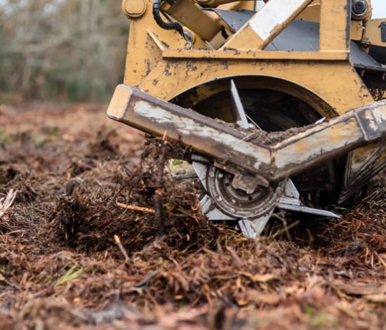 Forestry Mulching
