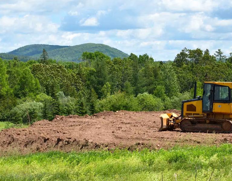 The Benefits of Forestry Mulching in Western New York